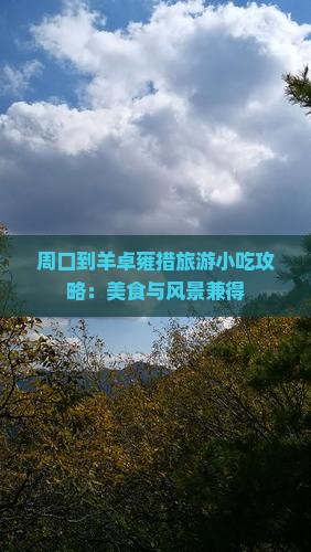 周口到羊卓雍措旅游小吃攻略：美食与风景兼得