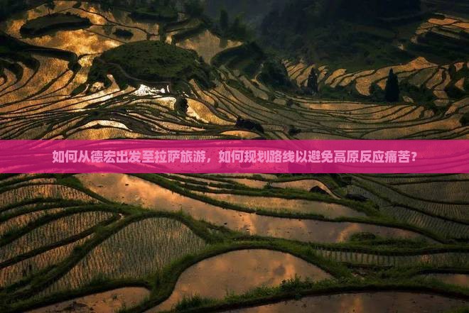 如何从德宏出发至拉萨旅游，如何规划路线以避免高原反应痛苦？