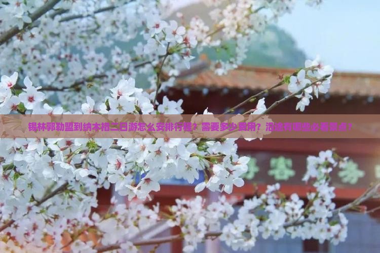 锡林郭勒盟到纳木措二日游怎么安排行程？需要多少费用？沿途有哪些必看景点？