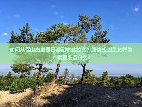 如何从保山出发四日游到布达拉宫？路线规划是怎样的？需要准备什么？