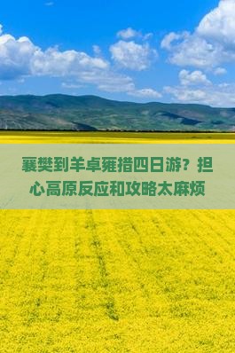 襄樊到羊卓雍措四日游？担心高原反应和攻略太麻烦？试试这波种草！