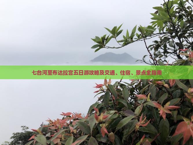 七台河至布达拉宫五日游攻略及交通、住宿、景点全指南