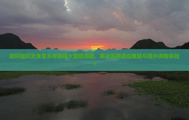 如何组织天津至羊卓雍措大型旅游团，解决高原适应难题与提升游客体验？