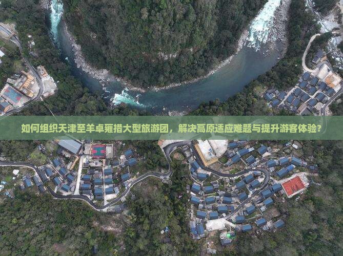 如何组织天津至羊卓雍措大型旅游团，解决高原适应难题与提升游客体验？