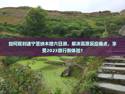 如何规划遂宁至纳木措六日游，解决高原反应痛点，享受2023旅行新体验？