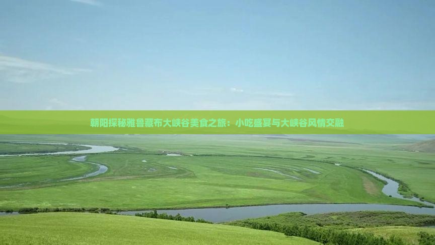 朝阳探秘雅鲁藏布大峡谷美食之旅：小吃盛宴与大峡谷风情交融