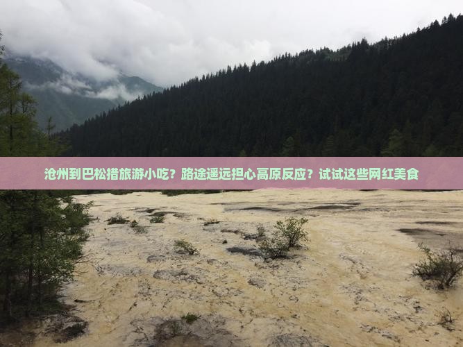 沧州到巴松措旅游小吃?路途遥远担心高原反应?试试这些网红美食 沧州到巴松措旅游小吃?路途遥远担心高原反应?试试这些网红美食
