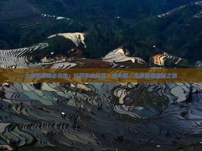 大庆到珠峰必去地：拉萨布达拉宫、纳木错、羊卓雍错探秘之旅