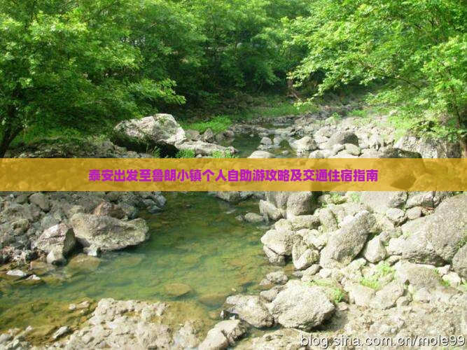 泰安出发至鲁朗小镇个人自助游攻略及交通住宿指南