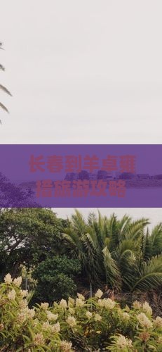 长春到羊卓雍措旅游攻略及路犀费用解析