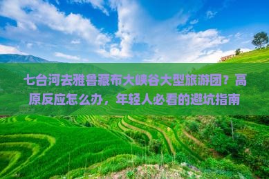 七台河去雅鲁藏布大峡谷大型旅游团？高原反应怎么办，年轻人必看的避坑指南