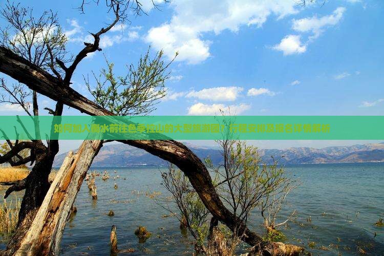 如何加入衡水前往色季拉山的大型旅游团？行程安排及报名详情解析