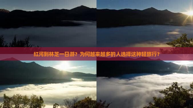 红河到林芝一日游？为何越来越多的人选择这种轻旅行？