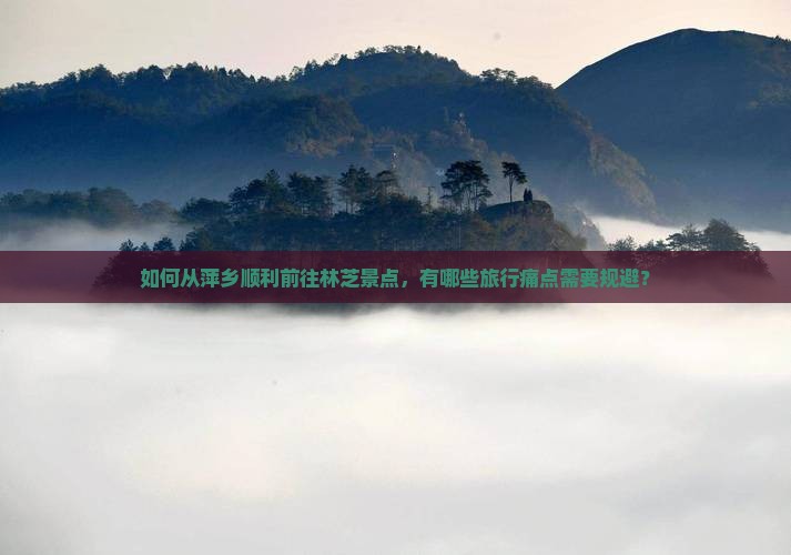 如何从萍乡顺利前往林芝景点，有哪些旅行痛点需要规避？