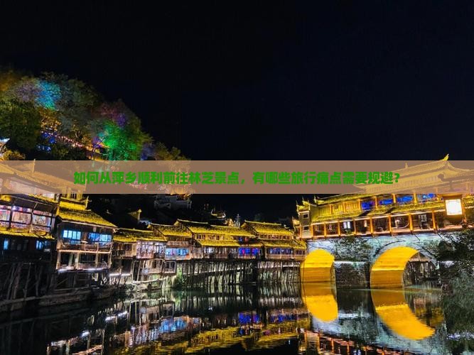 如何从萍乡顺利前往林芝景点，有哪些旅行痛点需要规避？