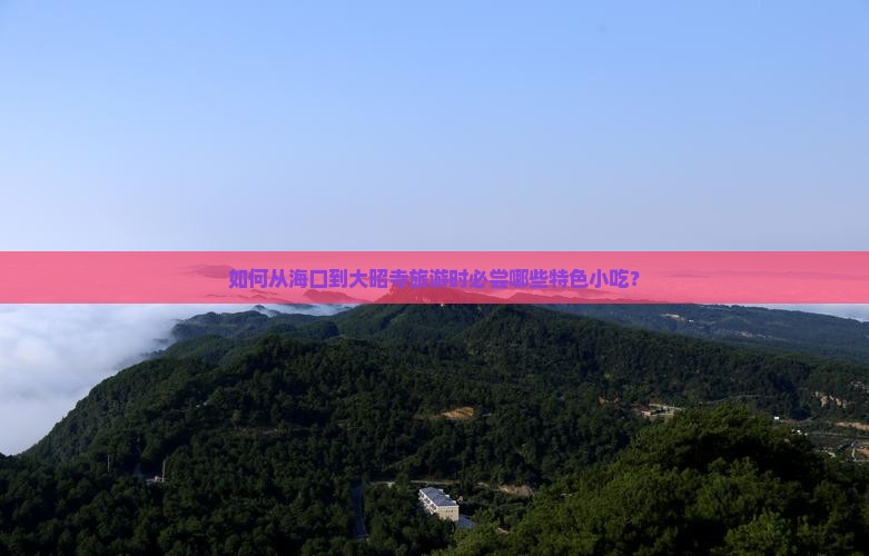 如何从海口到大昭寺旅游时必尝哪些特色小吃？