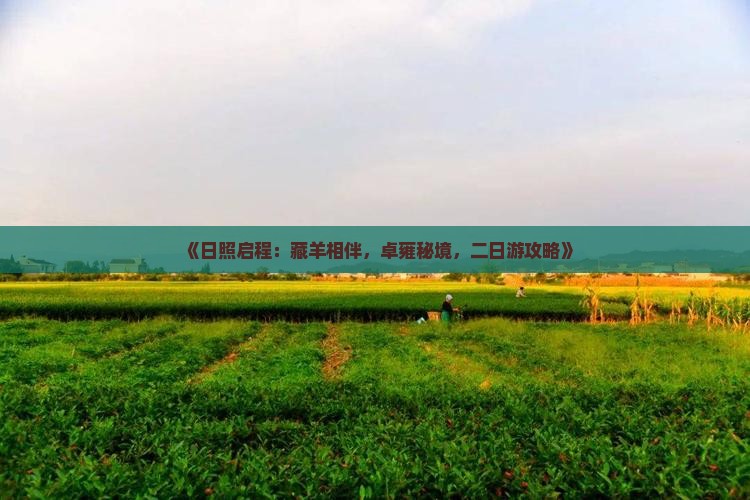 《日照启程：藏羊相伴，卓雍秘境，二日游攻略》