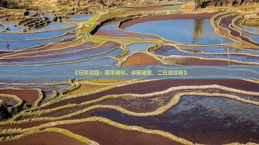 《日照启程：藏羊相伴，卓雍秘境，二日游攻略》