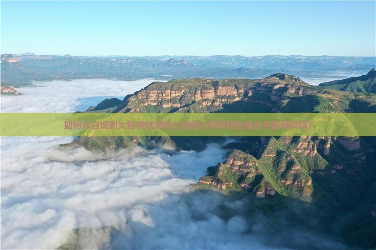 如何从白城到大昭寺旅游时必尝的小吃有哪些痛点与热词新词？