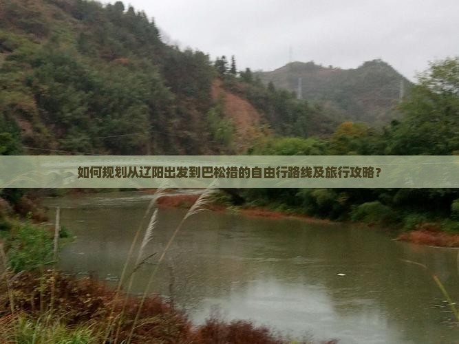 如何规划从辽阳出发到巴松措的自由行路线及旅行攻略？