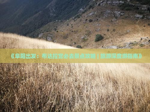 《阜阳出发：布达拉宫必去景点攻略 | 旅游深度游指南》
