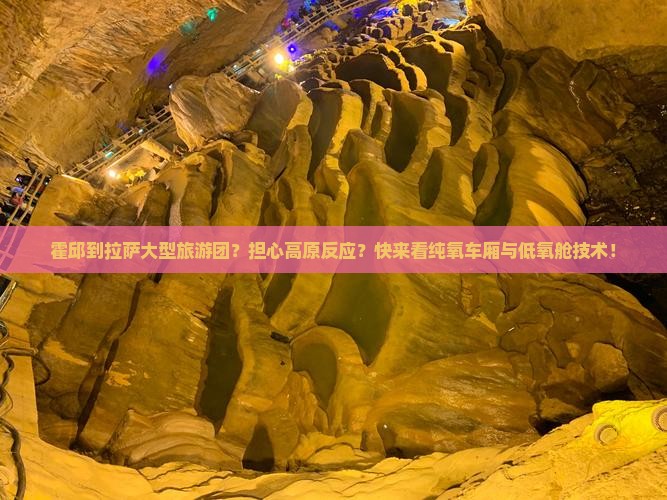 霍邱到拉萨大型旅游团？担心高原反应？快来看纯氧车厢与低氧舱技术！