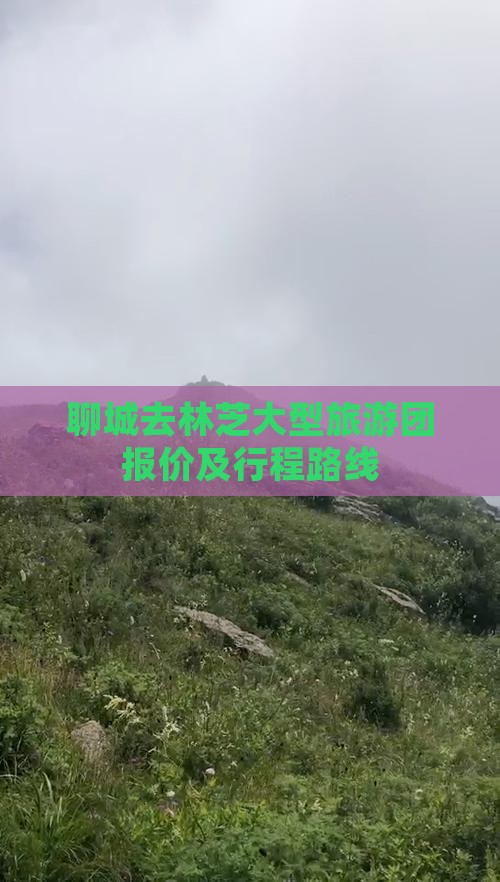 聊城去林芝大型旅游团报价及行程路线
