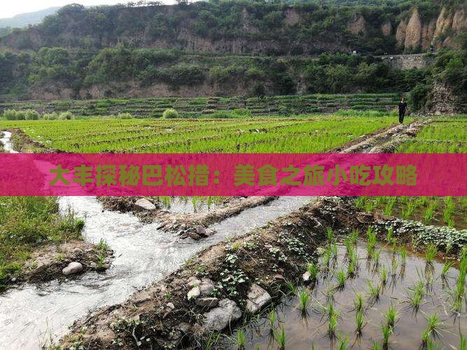 大丰探秘巴松措：美食之旅小吃攻略