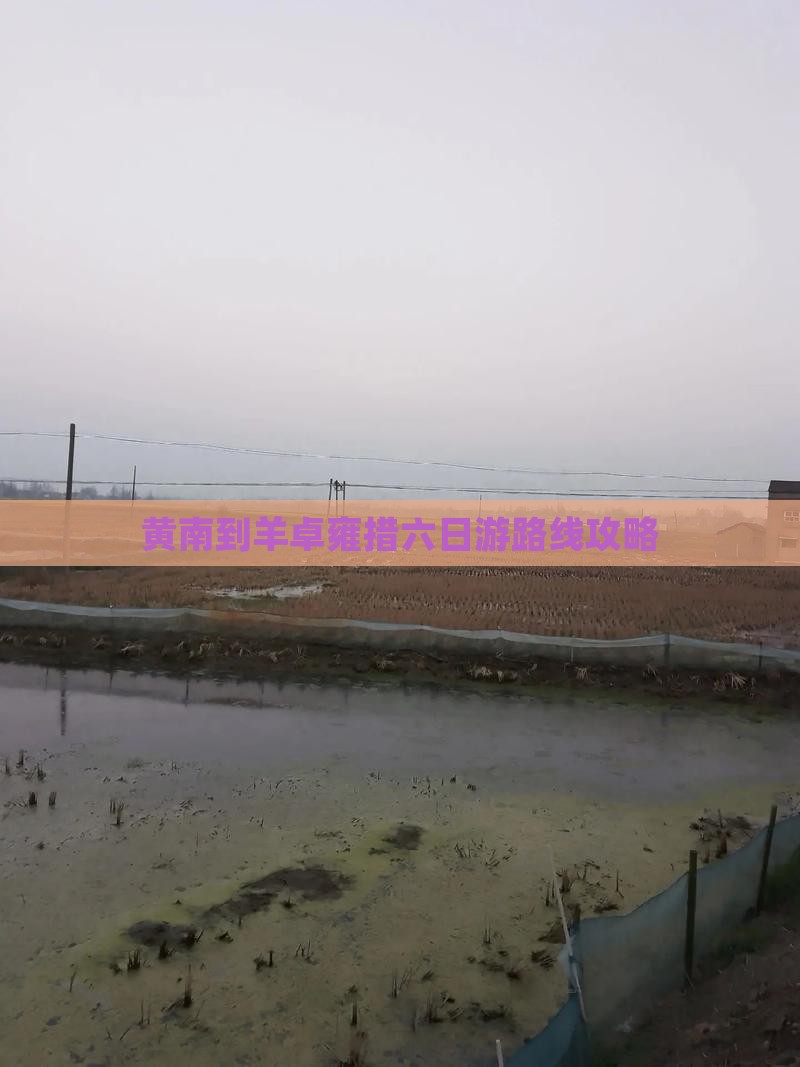 黄南到羊卓雍措六日游路线攻略