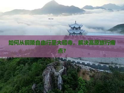 如何从铜陵自由行至大昭寺，解决高原旅行痛点？