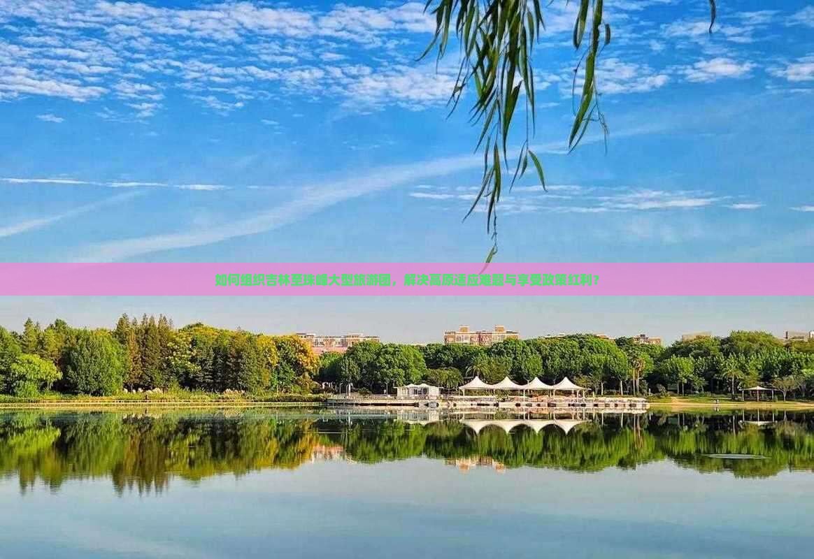 如何组织吉林至珠峰大型旅游团，解决高原适应难题与享受政策红利？