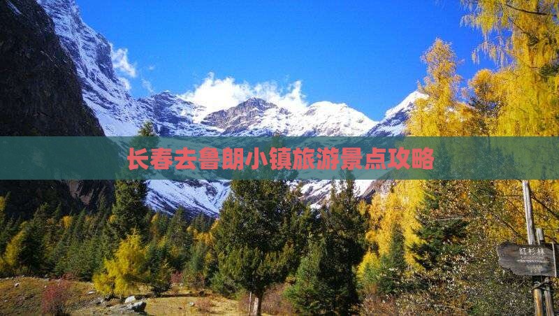 长春去鲁朗小镇旅游景点攻略