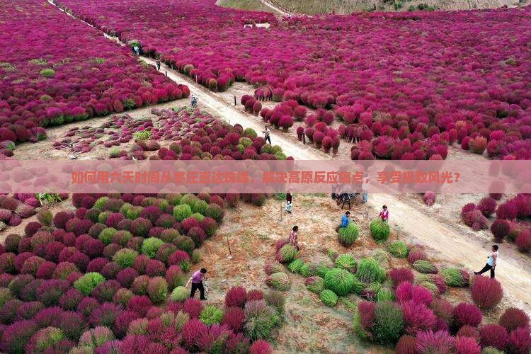 如何用六天时间从枣庄直达珠峰，解决高原反应痛点，享受极致风光？