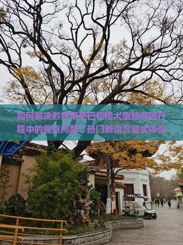 如何解决黔东南至巴松措大型旅游团行程中的痛点问题？热门新词沉浸式体验能否提升游客满意度？