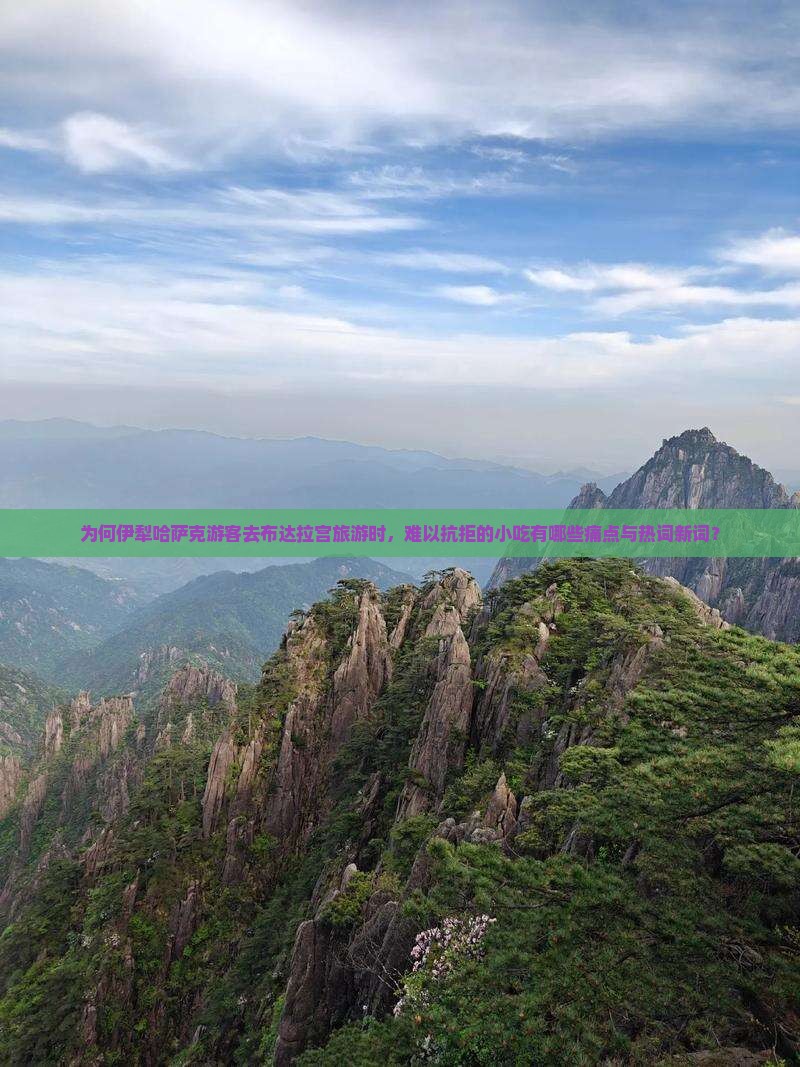 为何伊犁哈萨克游客去布达拉宫旅游时，难以抗拒的小吃有哪些痛点与热词新词？