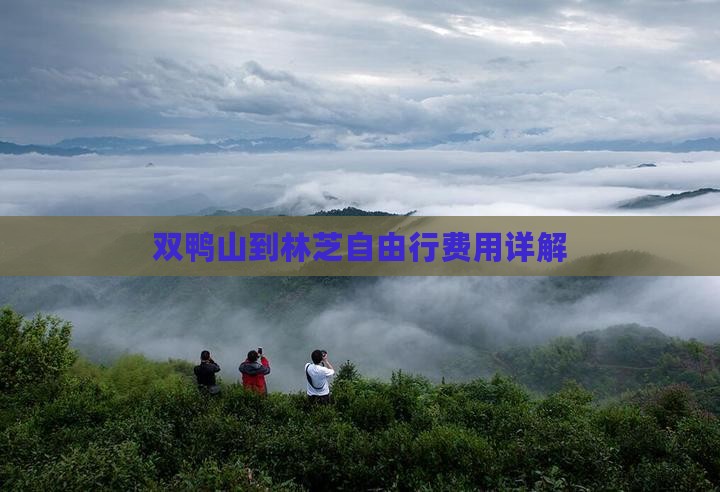 双鸭山到林芝自由行费用详解