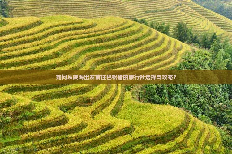 如何从威海出发前往巴松措的旅行社选择与攻略？