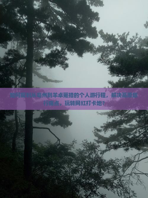 如何规划从亳州到羊卓雍措的个人游行程，解决高原旅行痛点，玩转网红打卡地？
