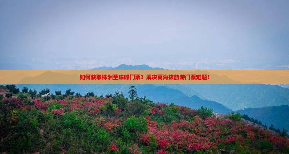 如何获取株洲至珠峰门票？解决高海拔旅游门票难题！