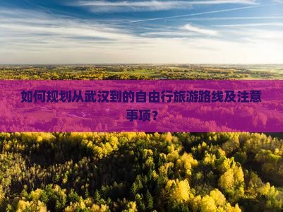 如何规划从武汉到的自由行旅游路线及注意事项？