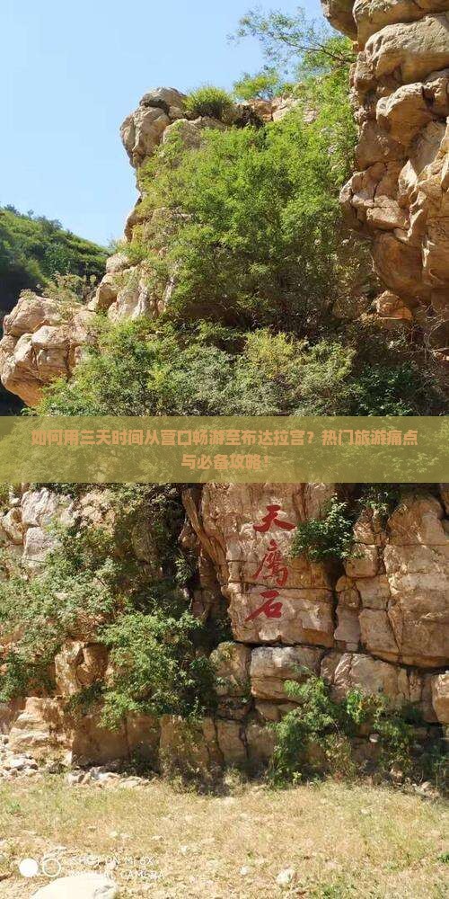 如何用三天时间从营口畅游至布达拉宫？热门旅游痛点与必备攻略！