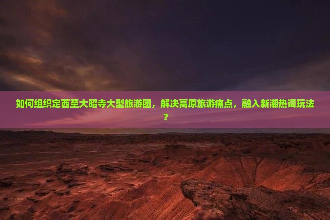 如何组织定西至大昭寺大型旅游团，解决高原旅游痛点，融入新潮热词玩法？