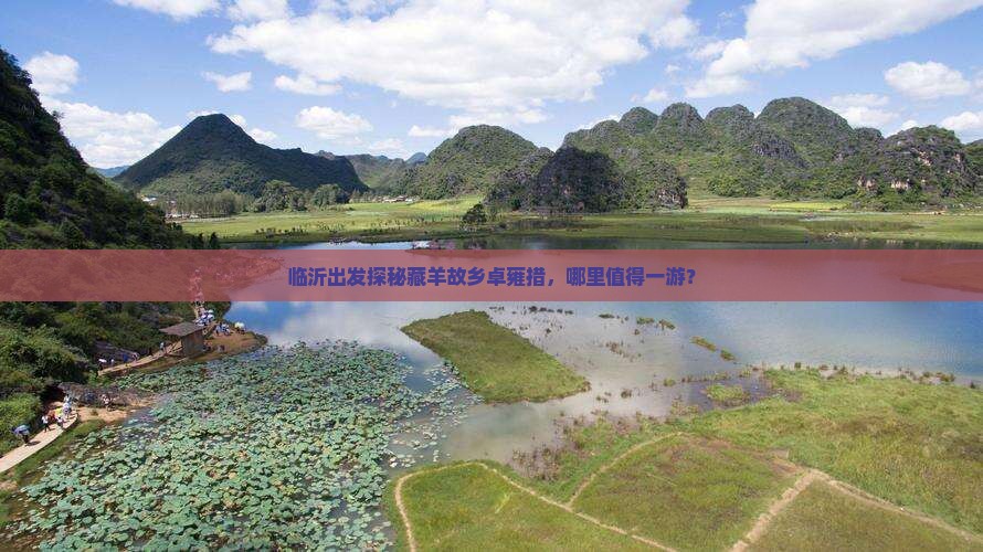 临沂出发探秘藏羊故乡卓雍措，哪里值得一游？