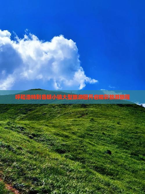 呼和浩特到鲁朗小镇大型旅游团开启精彩旅游旅程
