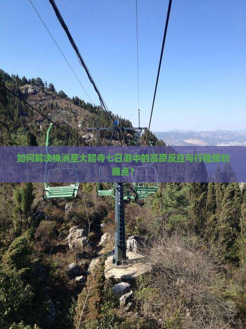 如何解决株洲至大昭寺七日游中的高原反应与行程规划痛点？