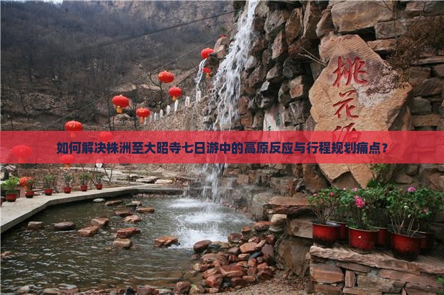 如何解决株洲至大昭寺七日游中的高原反应与行程规划痛点？