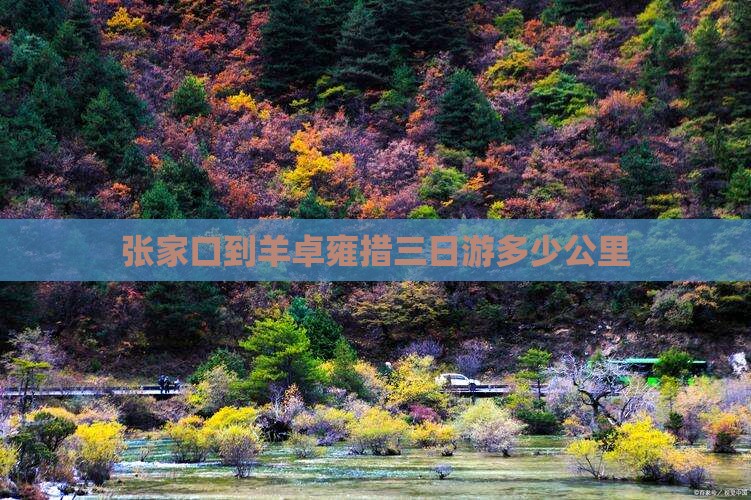 张家口到羊卓雍措三日游多少公里