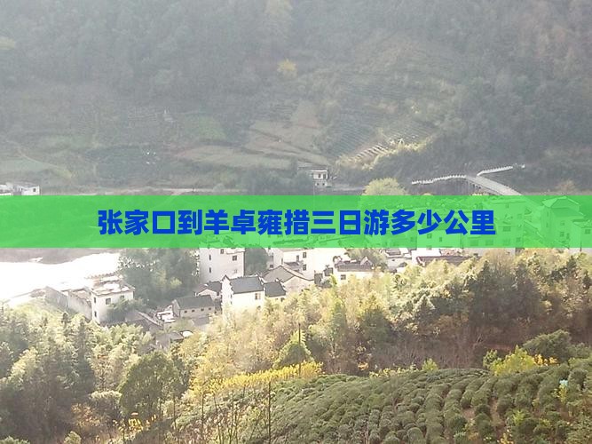 张家口到羊卓雍措三日游多少公里