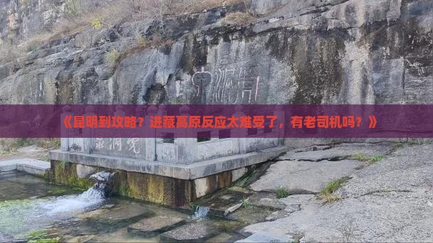 《昆明到攻略？进藏高原反应太难受了，有老司机吗？》