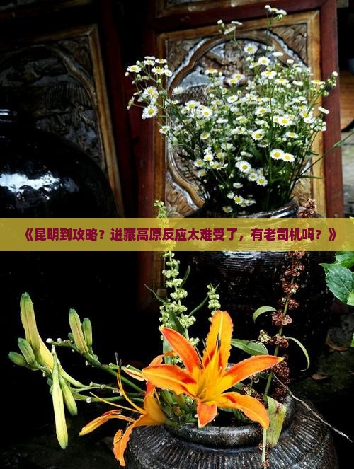 《昆明到攻略？进藏高原反应太难受了，有老司机吗？》